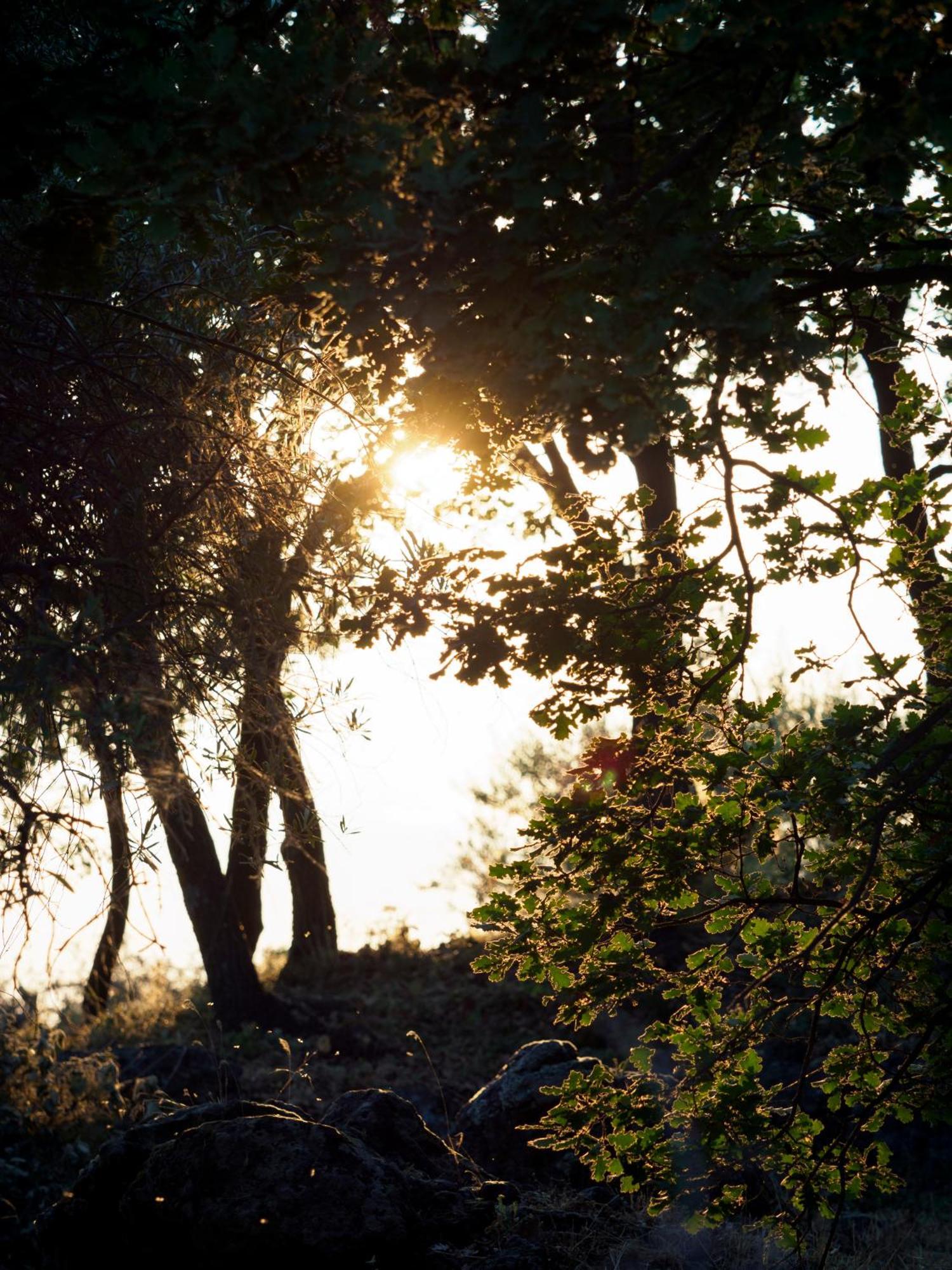 Podere Dell'Etna Segreta - Essential Nature Hotel & Glamping Biancavilla Exterior foto